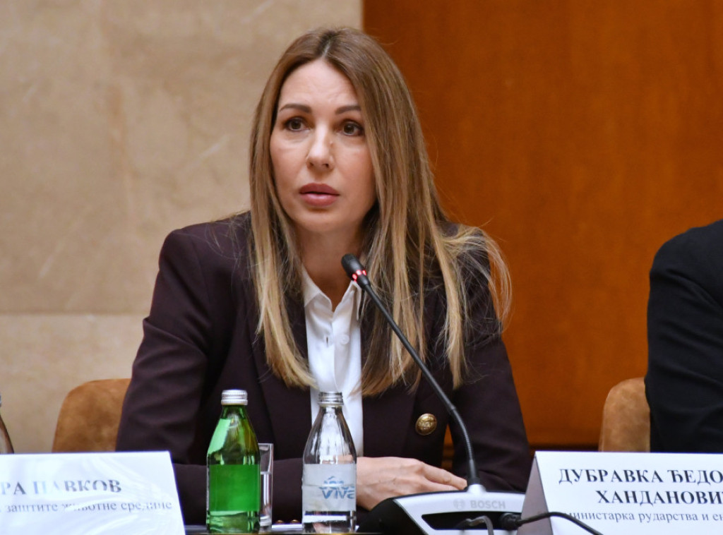 Djedovic Handanovic: I expect solution for NIS to be found by end of week