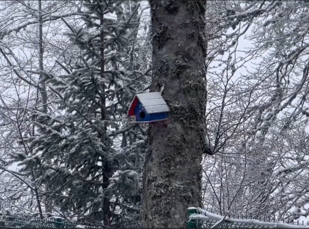 Snega ima samo mestimično na teritoriji Ivanjice, magla na više putnih pravaca