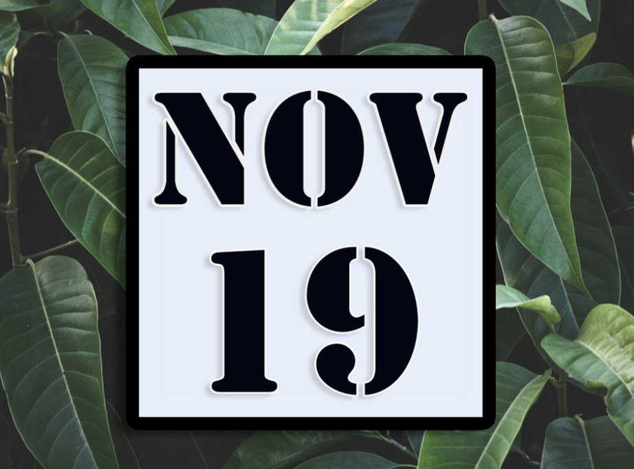 Dogodilo se na današnji dan - 19. novembar