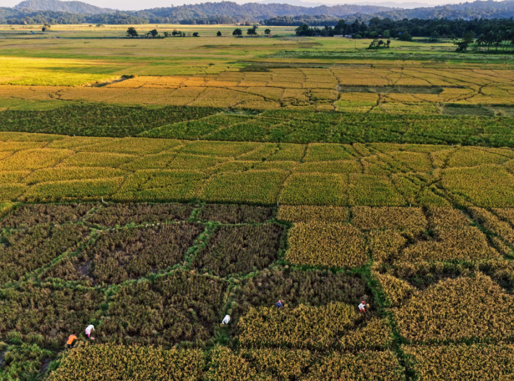 U Srbiji danas pretežno sunčano, temperatura do 18 stepeni