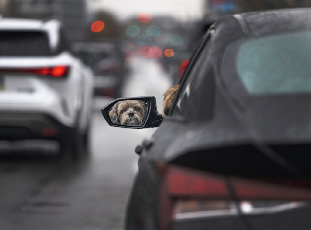 Česte oscilacije temperature utiču na pojavu odrona zemlje i kamenja na putevima