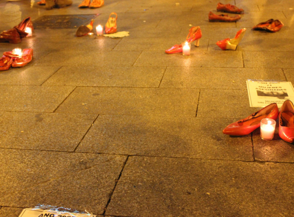 Višnja Ljubičić: U ovoj godini u Hrvatskoj ubijeno 15 žena