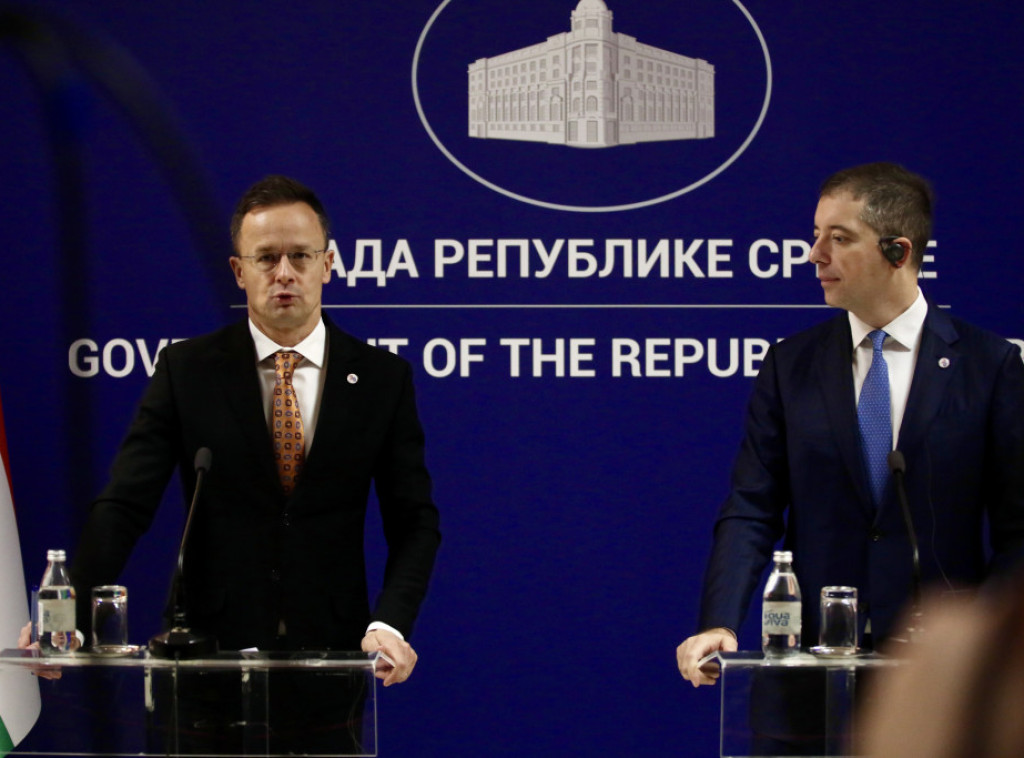 Djuric: Serbia has no closer friend than Hungary