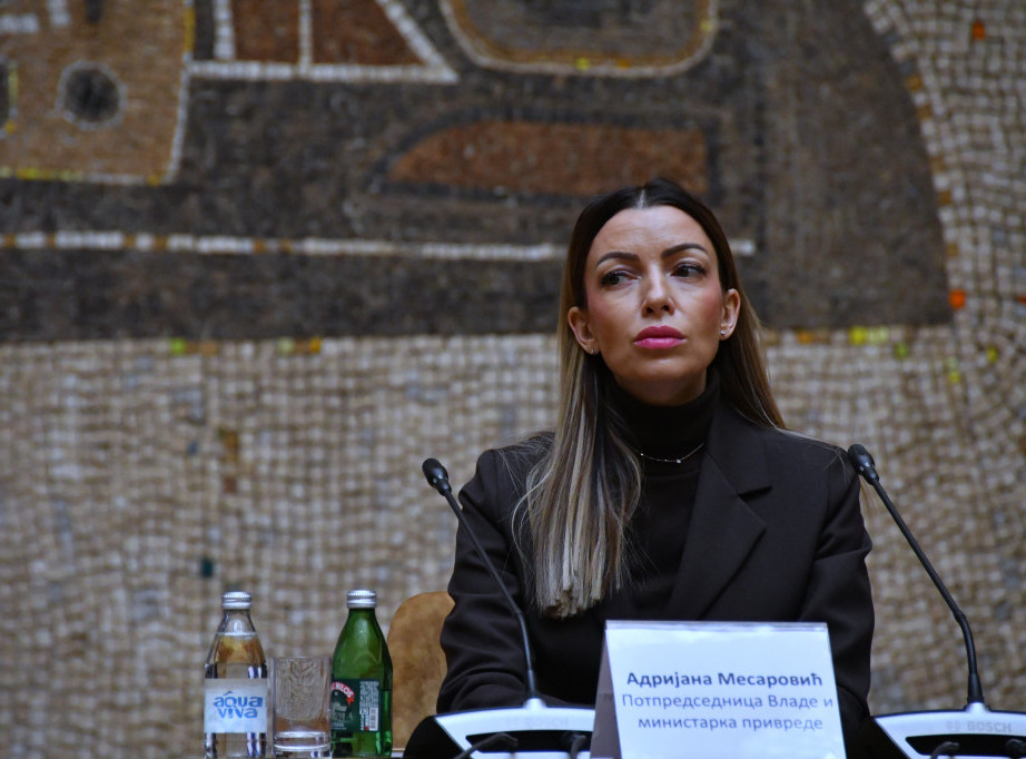 Mesarović osudila nasilje opozicionih političara, traži reakciju nadležnih za incident