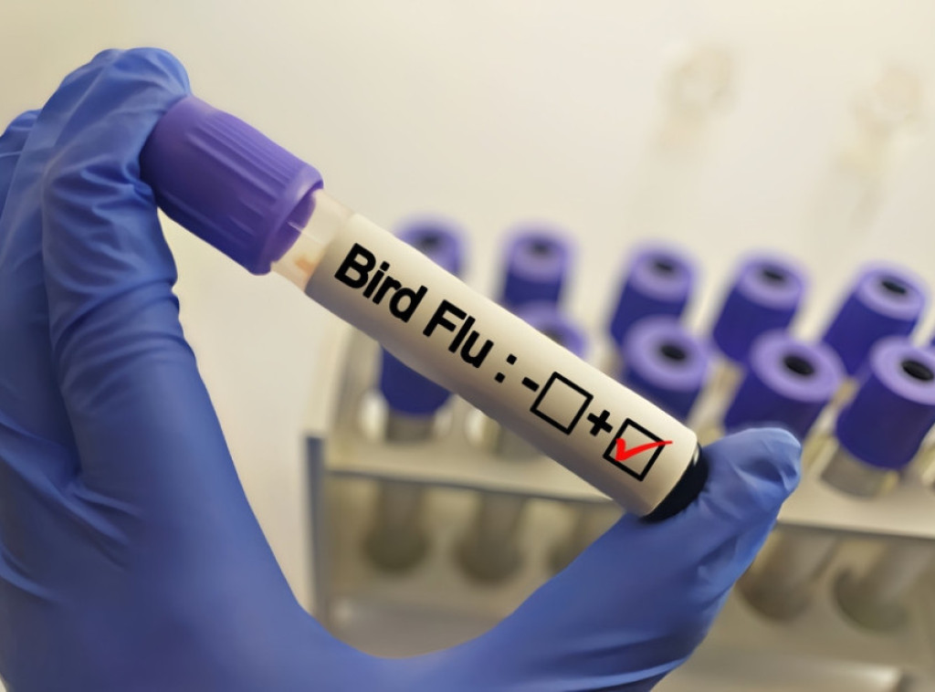 Ptičji grip pogodio Berlin i Brandenburg