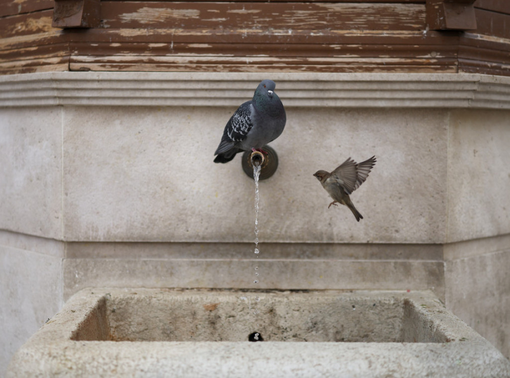 U Srbiji danas od sredine dana postepeno razvedravanje