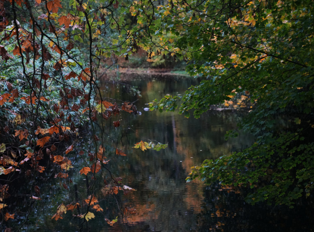 Studija: Rezerve vode u Evropi smanjuju se zbog klimatskih promena