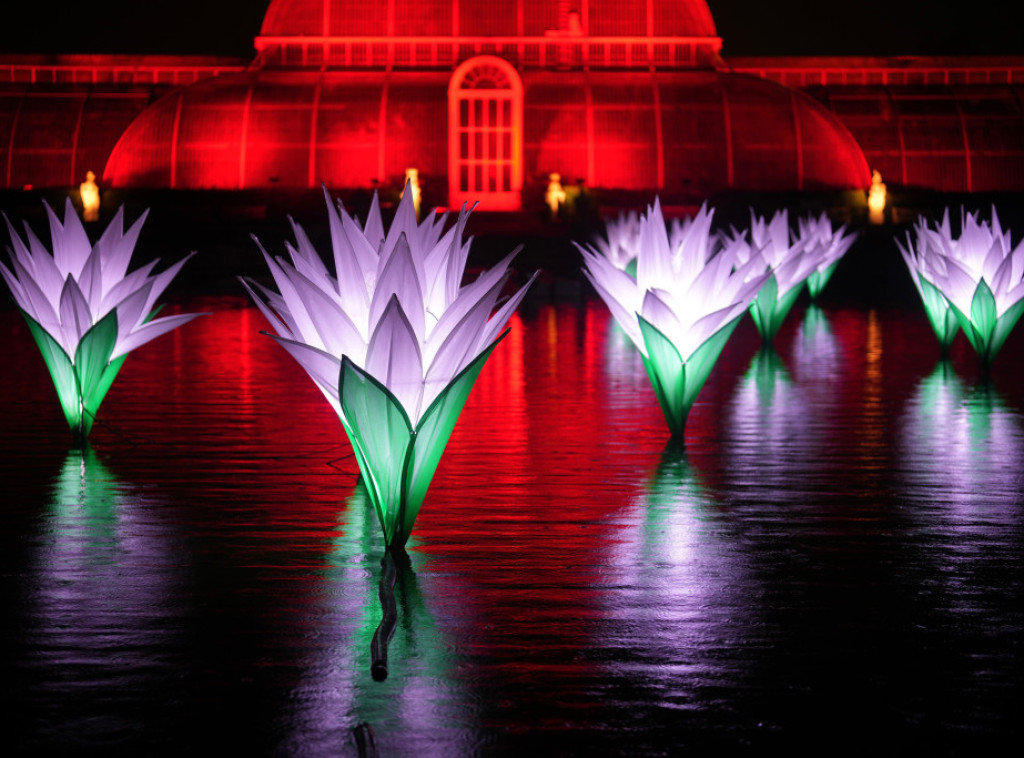 Filmske zvezde pevaće božićne pesme sa britanskom kraljevskom porodicom