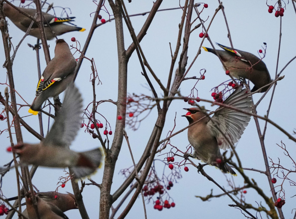 Ujutro maglovito i oblačno, tokom dana pretežno sunčano