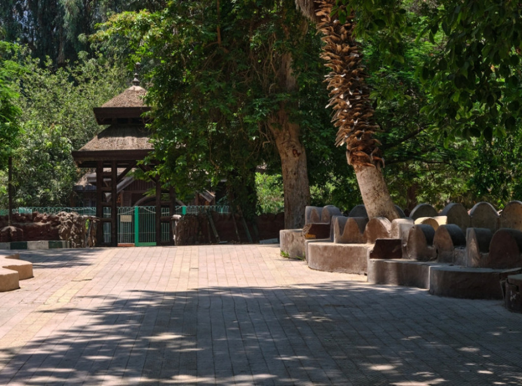 Jubilarni 30. Dečji maraton u subotu u Beo zoo vrtu