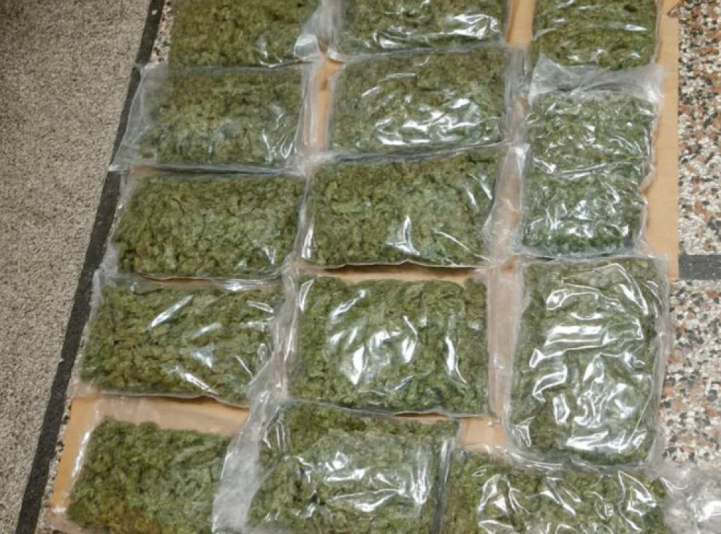 Ivica Dačić: U Prokuplju zaplenjeno 8,7 kg materije nalik na marihuanu, osumnjičeni uhapšen