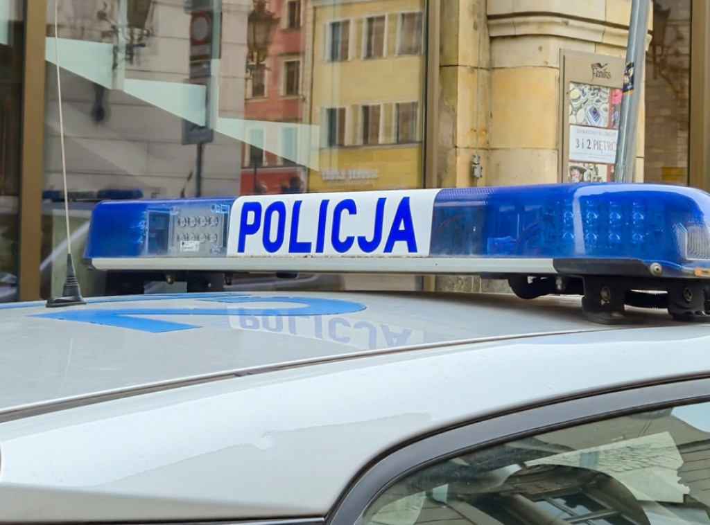 Poljska: Policija pronašla džinovsku plastičnu gorilu ukradenu iz restorana