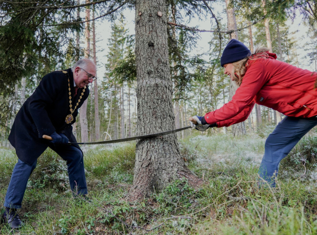 Londonska novogodišnja jelka koju Norveška poklanja Velikoj Britaniji danas će biti osvetljena