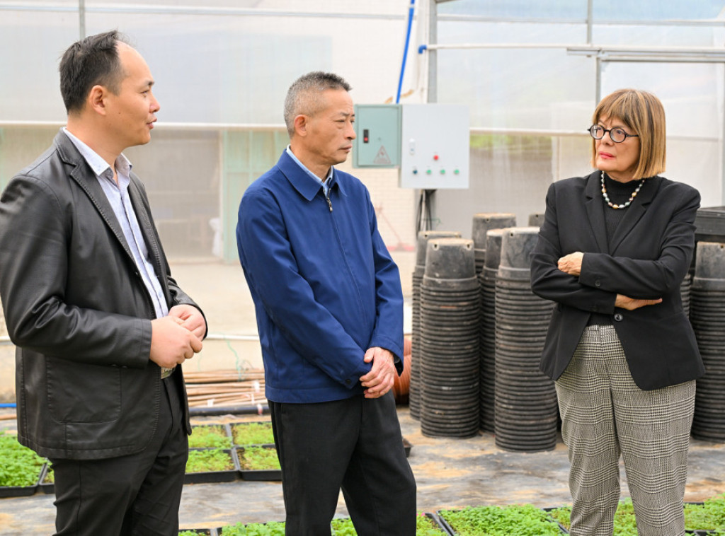 Maja Gojković: Veliko interesovanje Kineza za saradnju sa istraživačkim institucijama Vojvodine