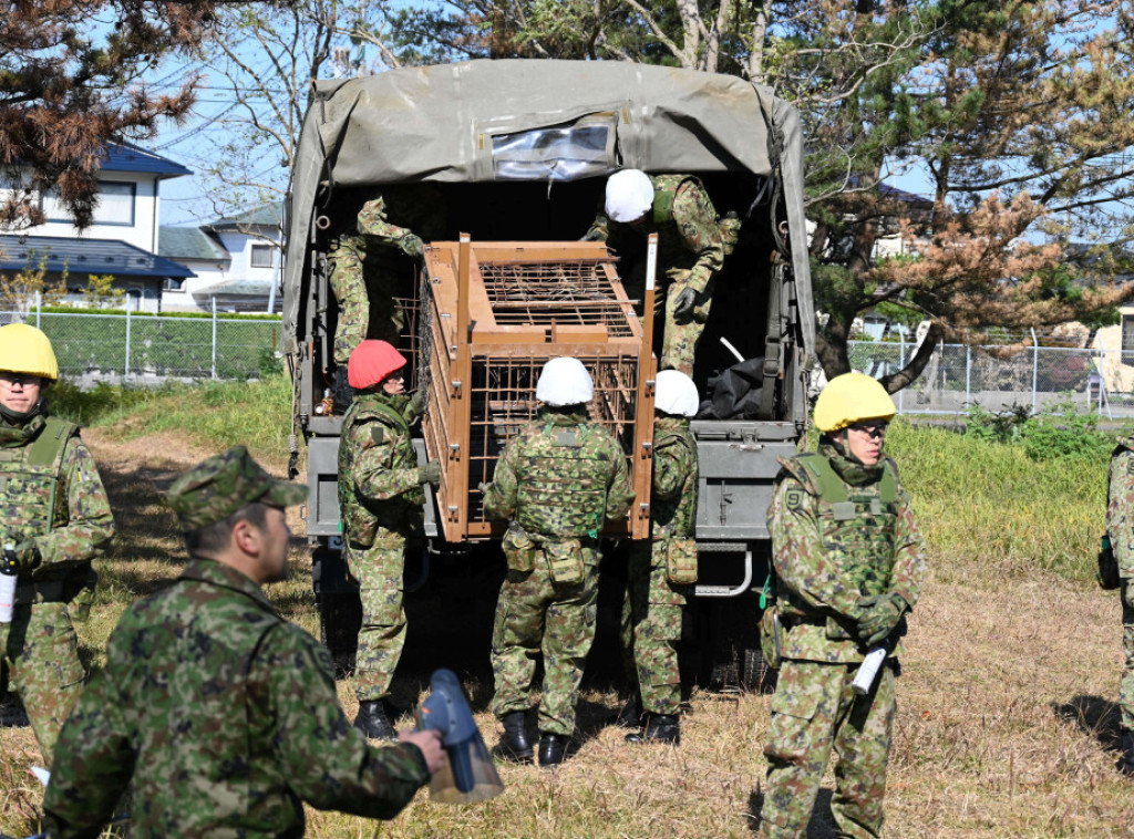 Japan: U ovoj godini zabeleženo rekordnih 230 napada medveda na ljude