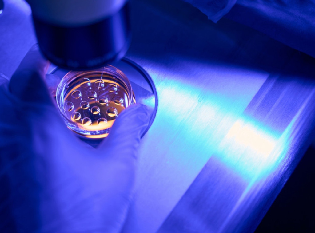 Britanski parovi traže procenu embriona zbog budućih osobina dece