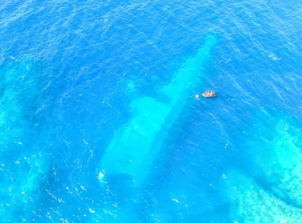 Francuska: Ronioci otkrili 200 kolonija korala u jednoj luci