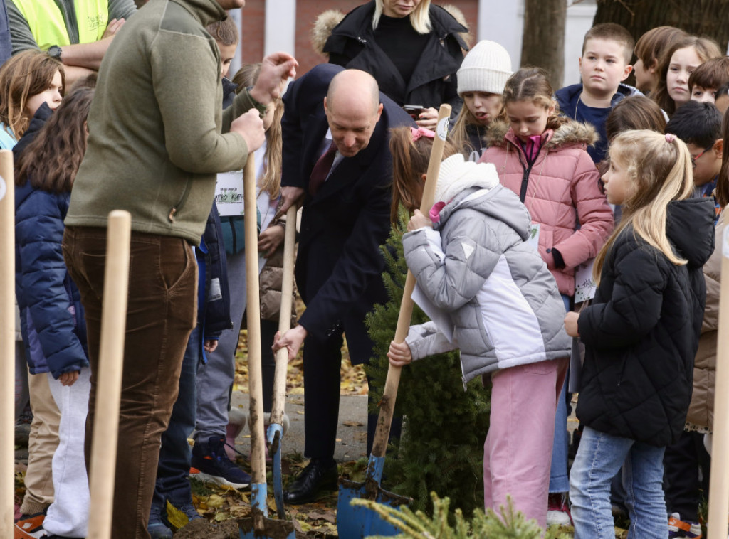Posađeno 50 stabala Pančićeve omorike u dvorištu  OŠ "Duško Radović"