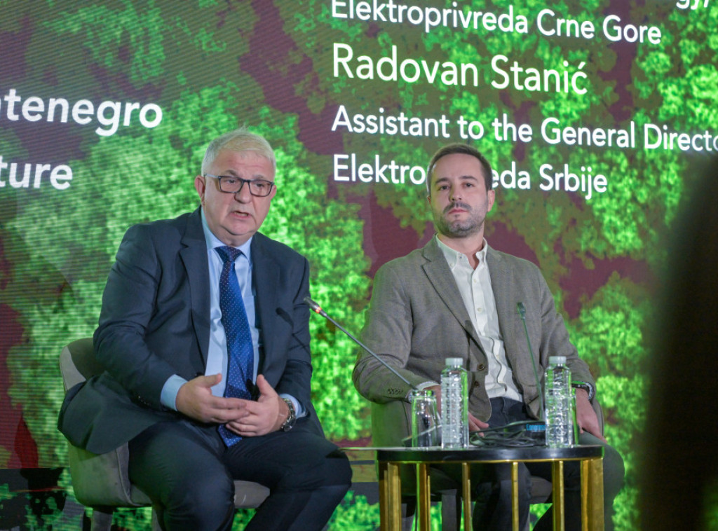 Radovan Stanić: EPS garant stabilnosti i u budućnosti