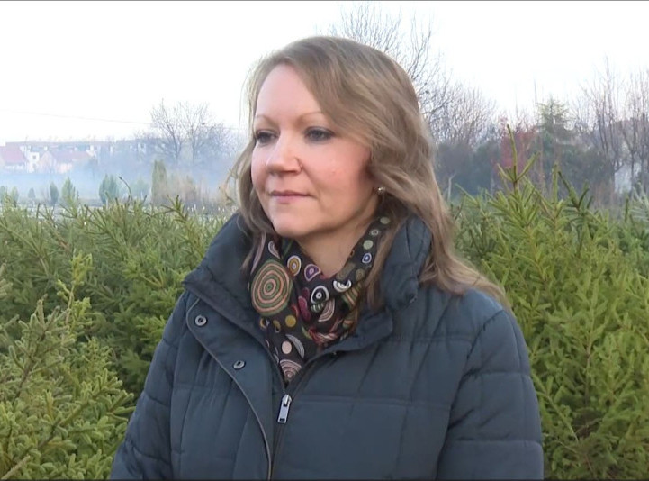 Mirjana Obućinski: Kupovinom jelki sa busenom utiče se na zaštitu životne sredine