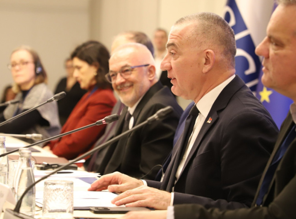 Ministar Vujić i Matijas Gjomar o smanjenju broja predmeta Srbije pred Evropskim sudom za ljudska prava