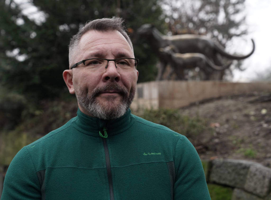 U Beo Zoo Vrt do kraja godine stižu tri bela medveda, a sledeće godine slonica