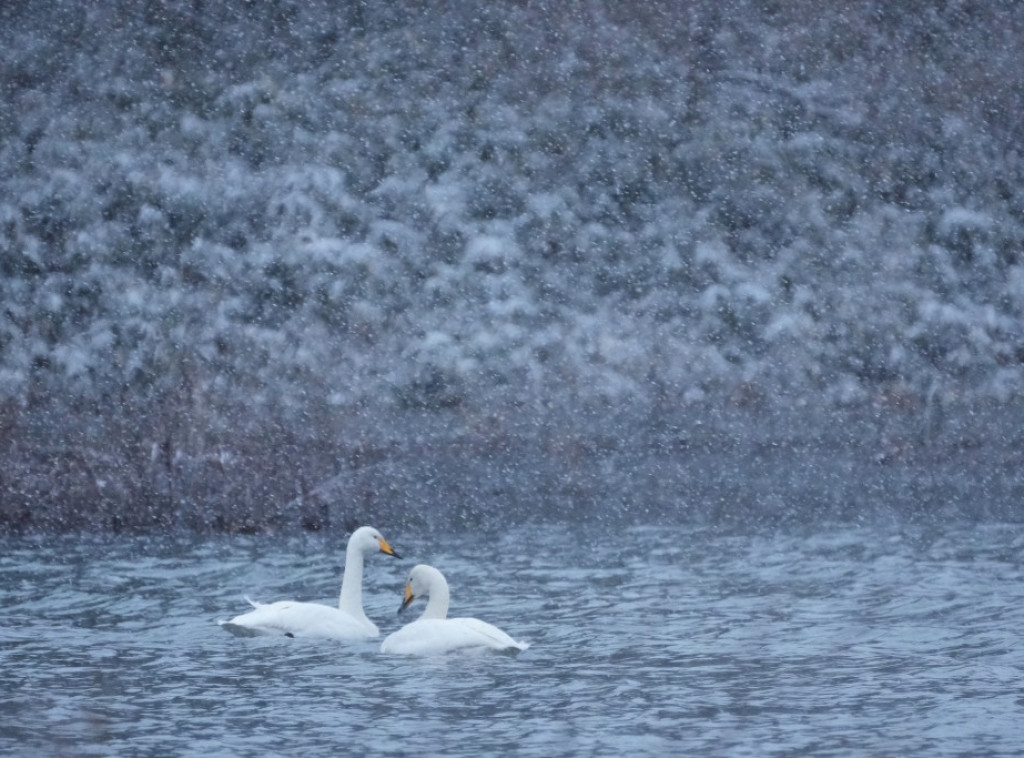 Nakon snežne oluje sa auto-puta u Rusiji evakusiano skoro 150 ljudi