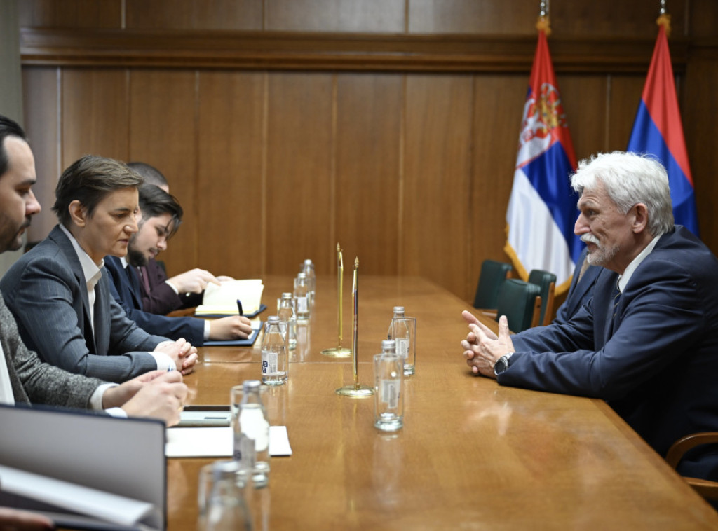 Brnabić primila u oproštajnu posetu odlazećeg ambasadora Ukrajine Tolkača