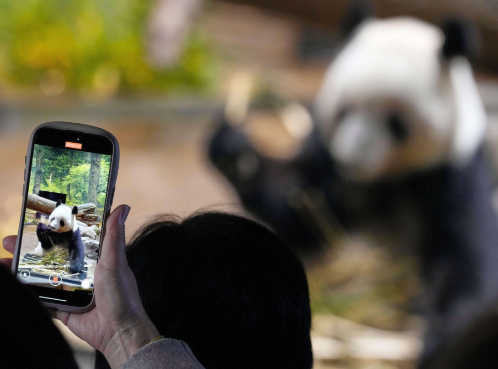 Mediji: Hiljade posetilaca u Tokiju opraštaju se od poslednjih pandi u Japanu