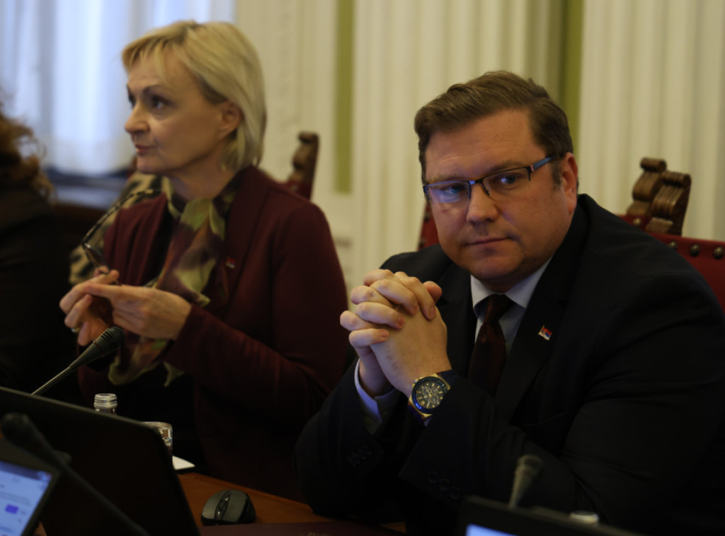 Na sednici Odbora za dijasporu usvojena inicijativa da 2026. bude godina Nikole Tesle