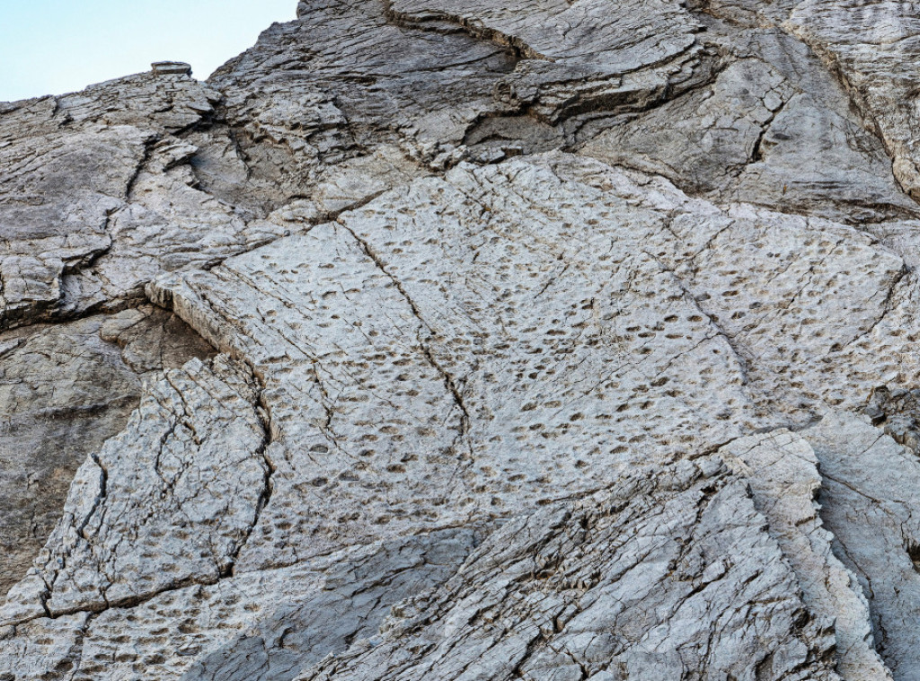 U nacionalnom parku Stelvio u Italiji otkrivene hiljade tragova dinosaurusa
