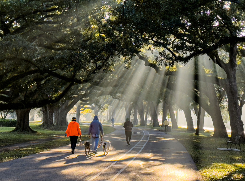 Ujutru slab mraz, ponegde magla i niska oblačnost, tokom dana pretežno oblačno
