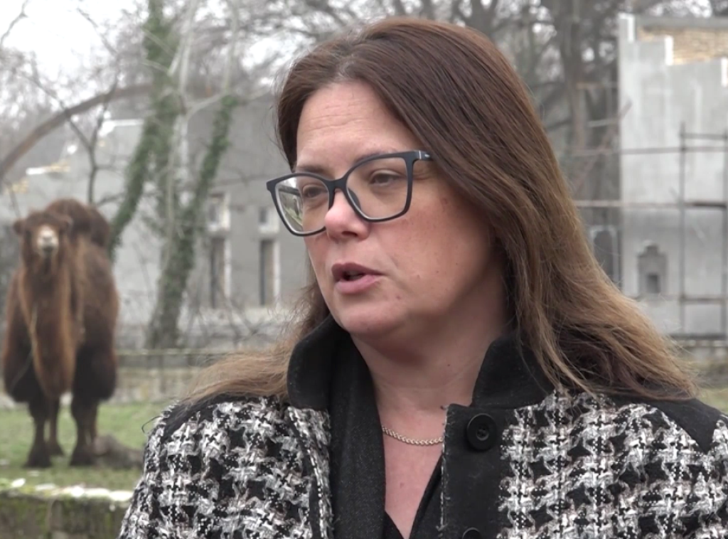Sonja Mandić: Sve životinje u Palićkom Zoo vrtu imaju kvalitetnu hranu i negu