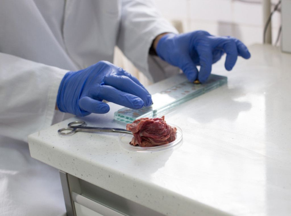 Ministarstvo poljoprivrede: Slučaj trihinele u svinjskom mesu pod kontrolom