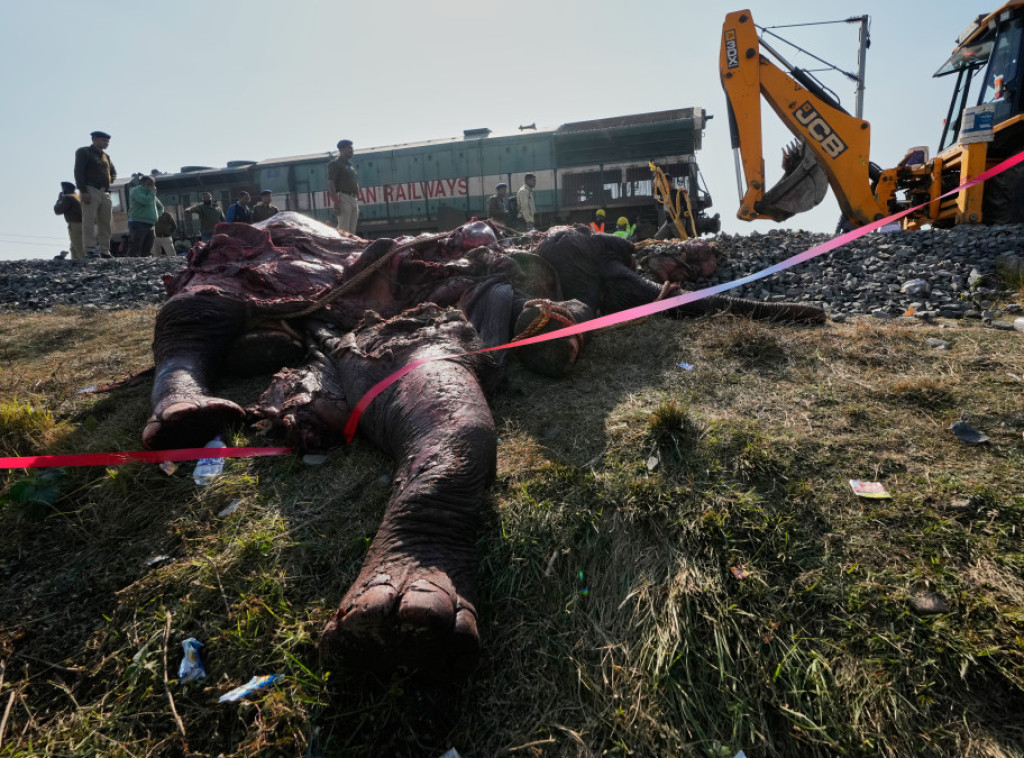 Osam slonova poginulo u sudaru s vozom u Indiji, pet vagona iskočilo iz šina
