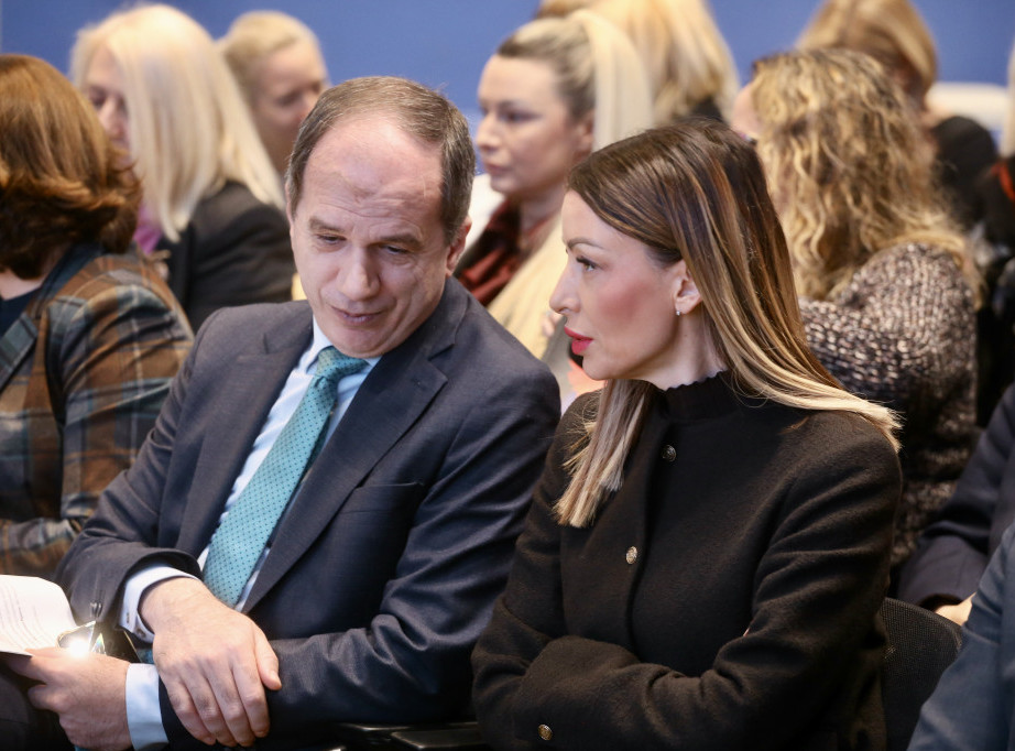 UNDP predstavio projekate za održivi razvoj Srbije, Mesarović pozvala investitore