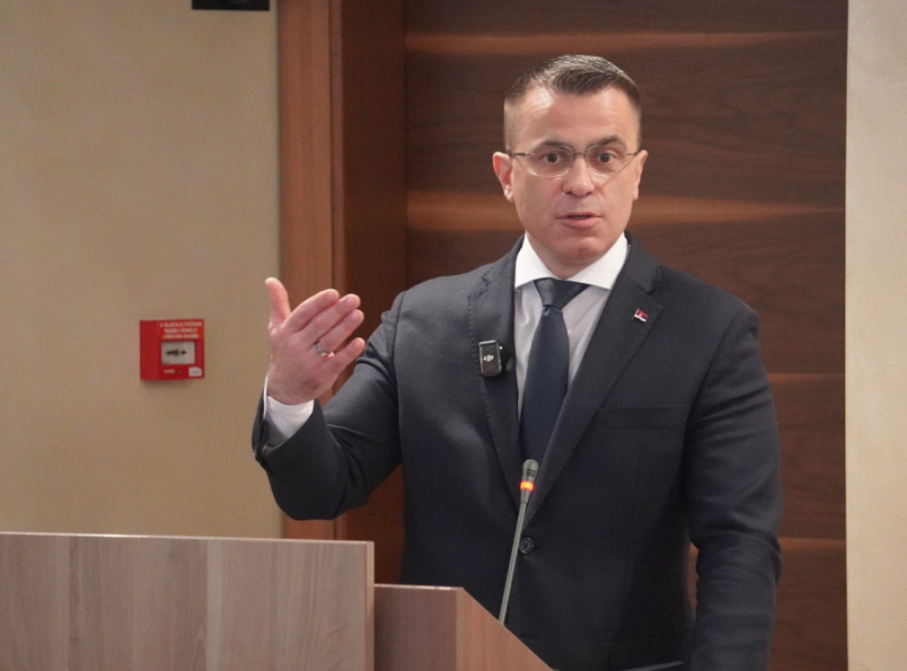 Milićević otvorio konferenciju "Dijaspora i matica" u Velikom Gradištu