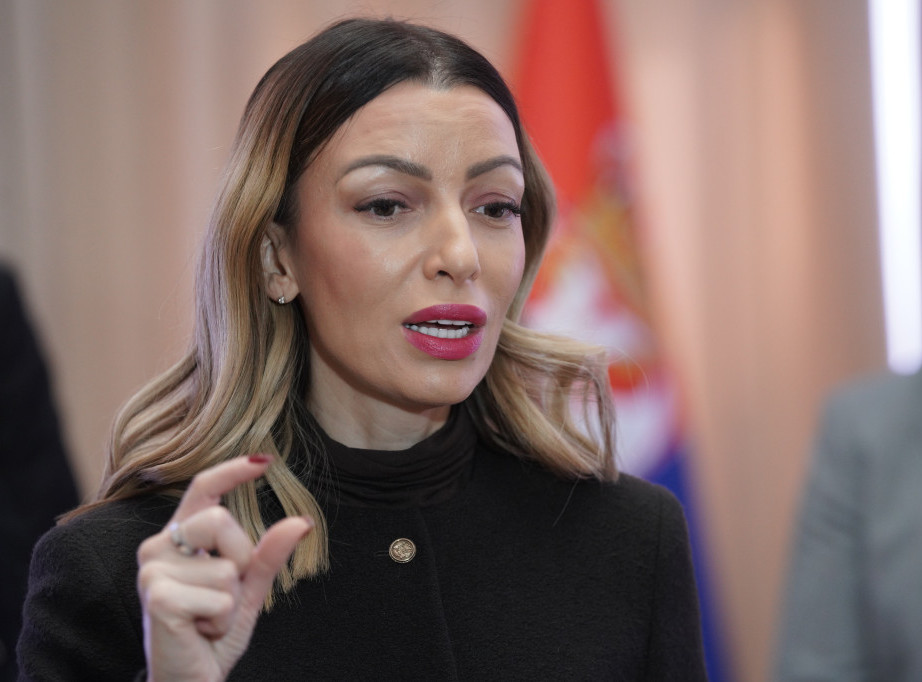 Mesarović: Karikatura koju je objavila Bralović podsetnik protiv čega se moramo boriti