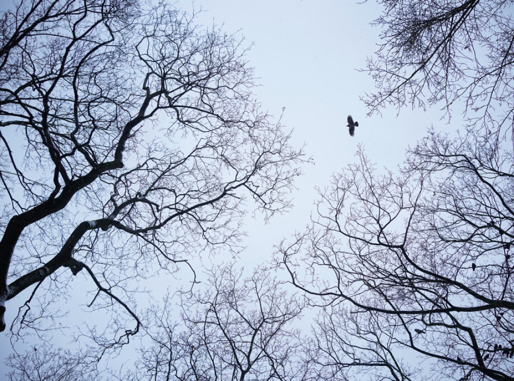 U Novosibirsku razvijen algoritam neuronske mreže za prognozu vremena