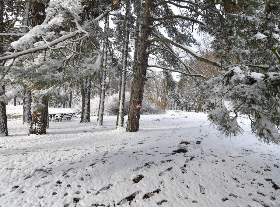 Bihać: Zbog vremenskih uslova nastave nema u školama Unsko-sanskog kantona