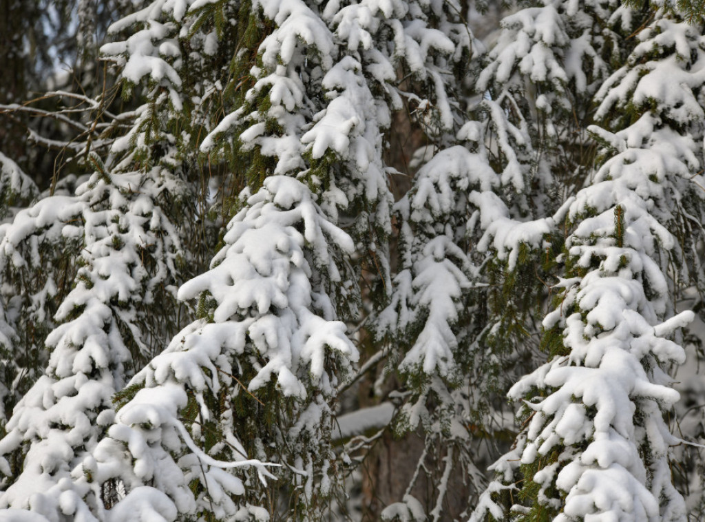 Narandžasto upozorenje zbog snega u Bosni i Hercegovini, temperatura u minusu
