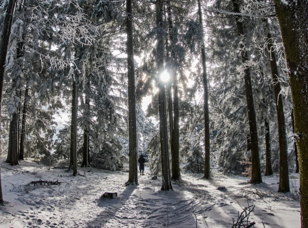 Ekstremne hladnoće u Evropi i SAD: Do minus 40 stepeni, stotine otkazanih letova