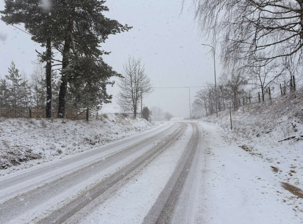 Javno preduzeće "Putevi Srbije": Bez zadržavanja na graničnim prelazima i na naplatnim stanicama