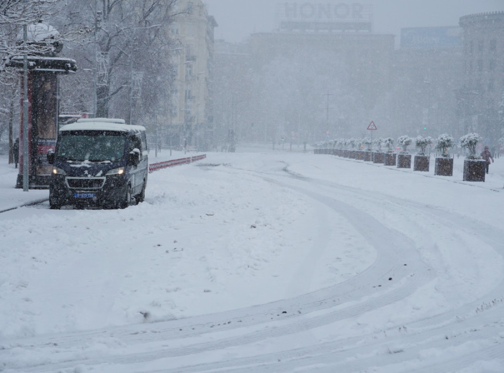 Milan Kocić: Vatrogasci-spasioci imali 15 intervencija, uglavnom zbog oborenih stabala