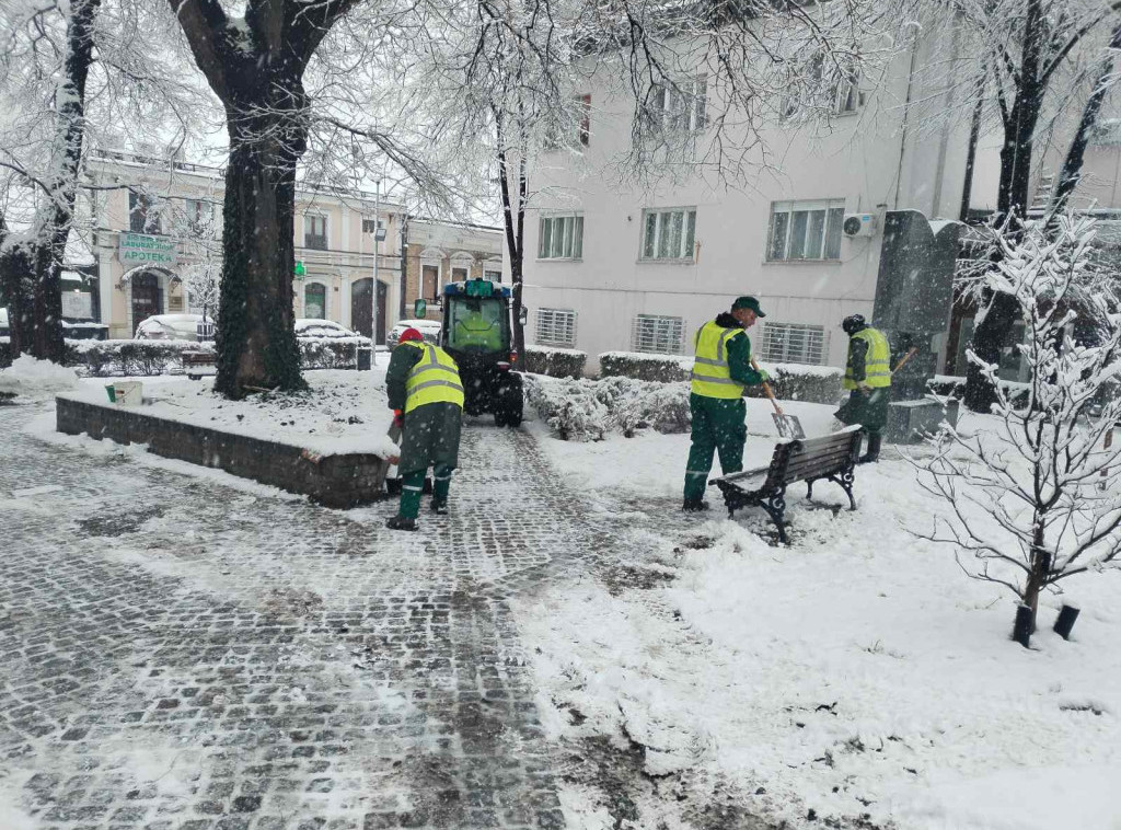 Radnici JKP "Zelenilo-Beograd" angažovani su na čišćenju snega i saniranju snegoloma