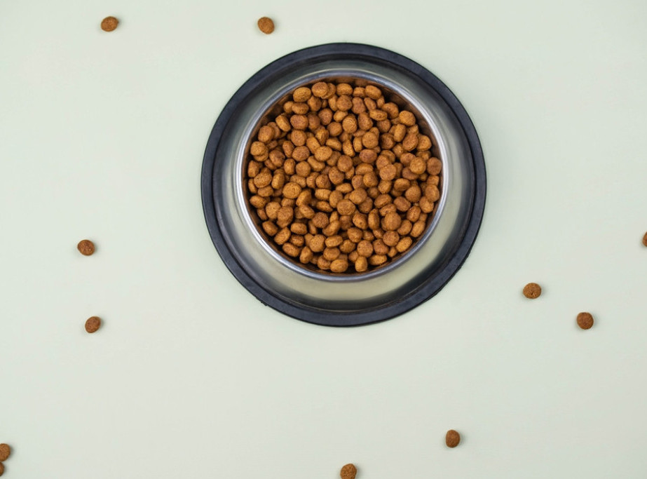 Studija: Hrana za pse čini jedan odsto emisije gasova staklene bašte u Britaniji