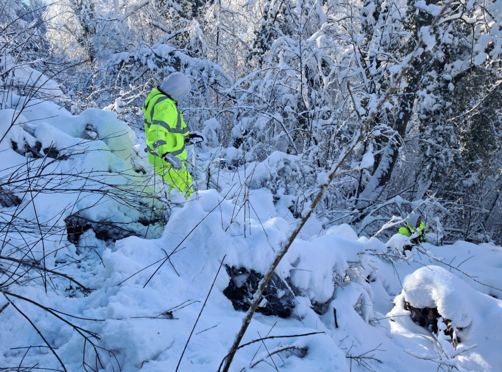 Elektrodistribucija Srbije: Nove padavine izazvale kvarove na mreži, ekipe na terenu