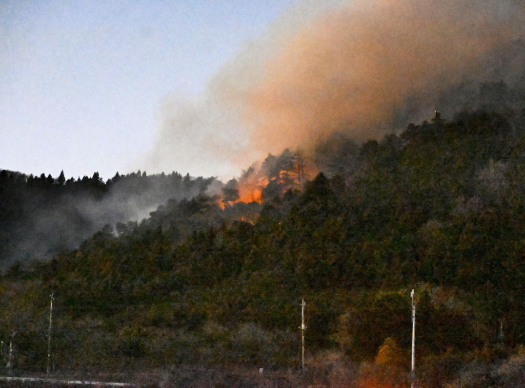 Više od 140 ljudi evakuisano zbog šumskih požara u prefekturi Jamanaši u Japanu