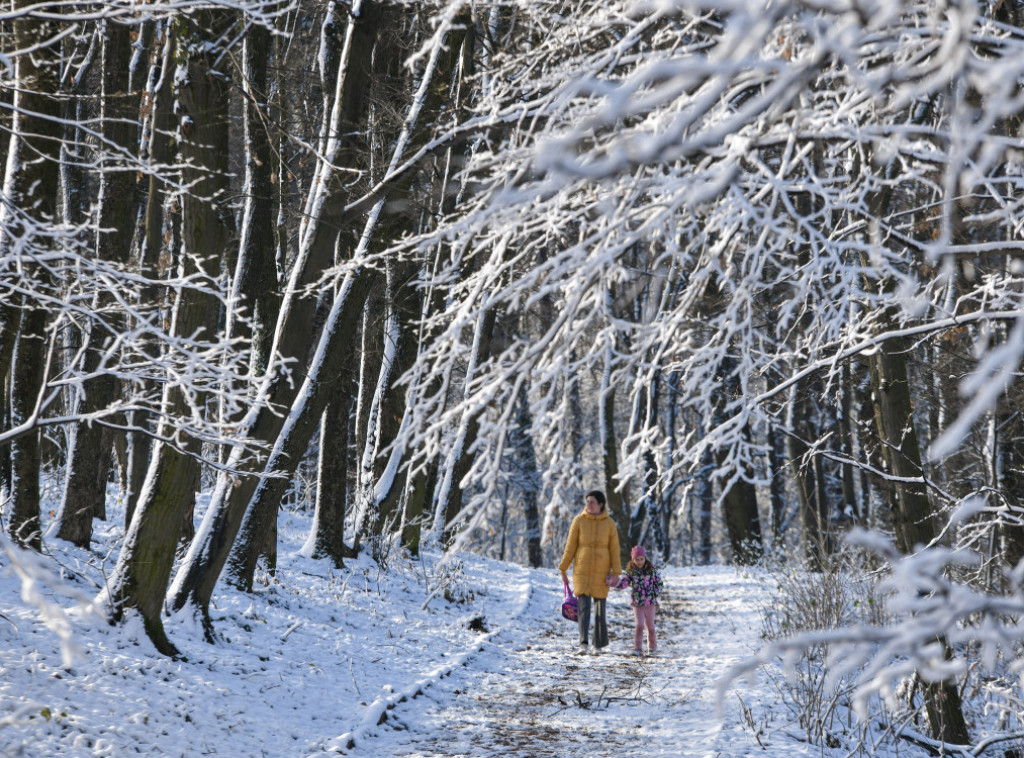 Crna Gora: Zbog nevremena zatvoren Nacionalni park Biogradska gora