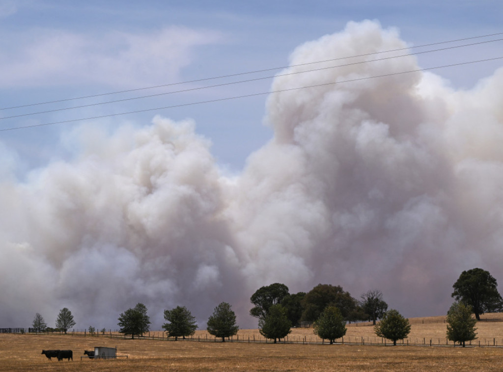 Australija: U poslednja 24 časa izbilo više od 250 požara, 19.000 korisnika ostalo bez struje
